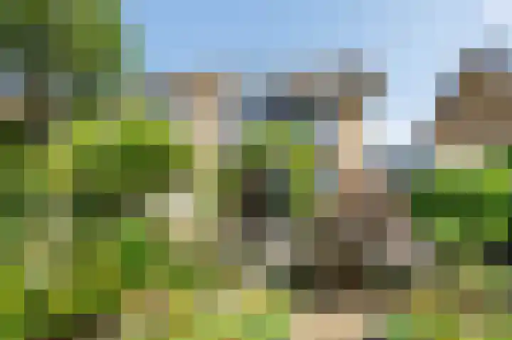 Bottelroos 4 Leiden thumbnail 19