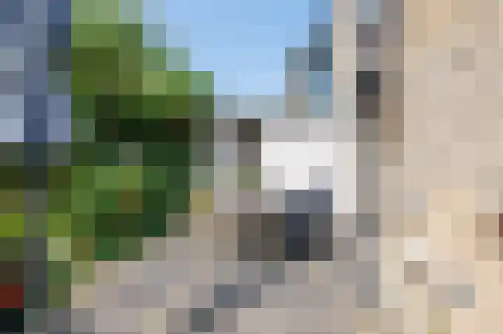 Bottelroos 4 Leiden thumbnail 21