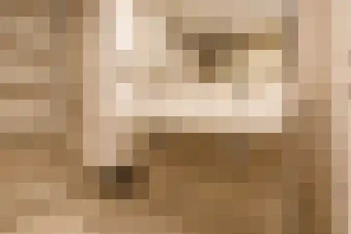 Bottelroos 4 Leiden thumbnail 37