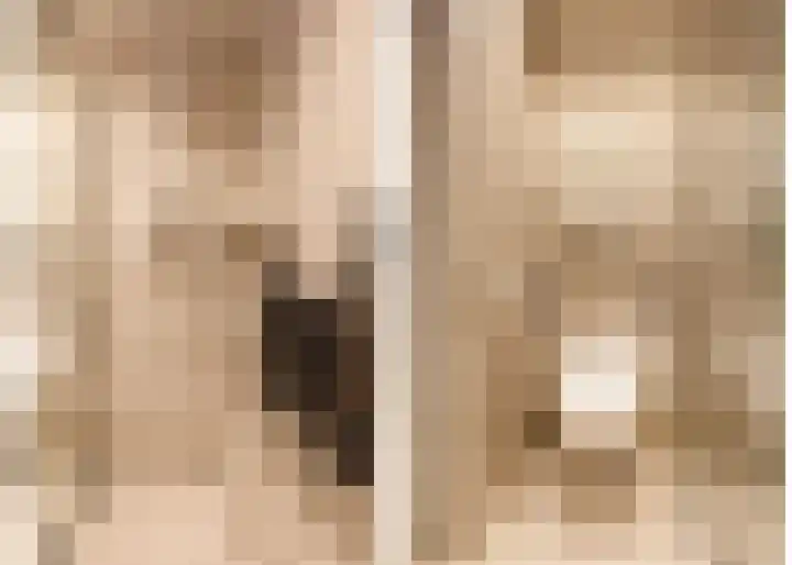 Bottelroos 4 Leiden thumbnail 38