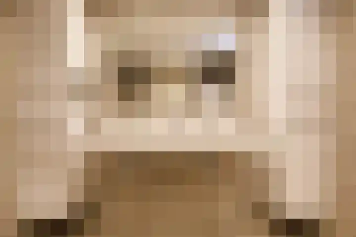Bottelroos 4 Leiden thumbnail 39