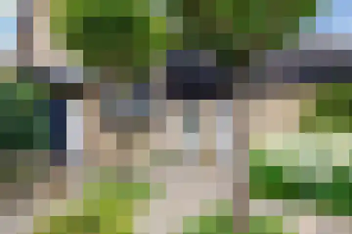 Bottelroos 4 Leiden thumbnail 4
