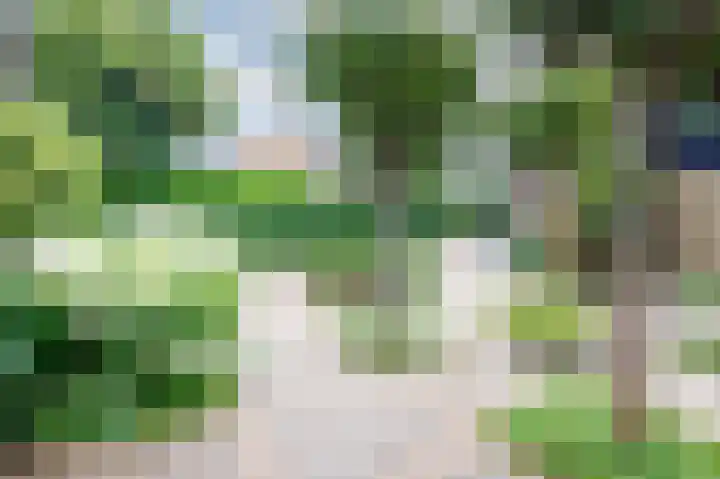 Bottelroos 4 Leiden thumbnail 48