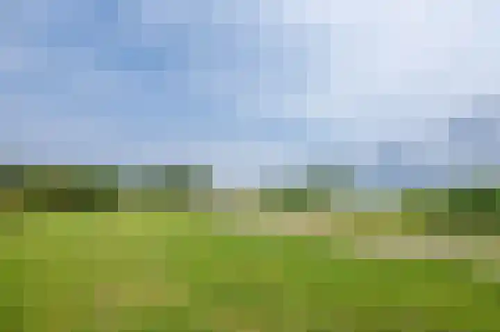 Bottelroos 4 Leiden thumbnail 49