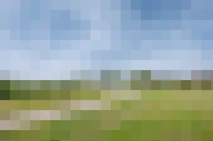 Bottelroos 4 Leiden thumbnail 50