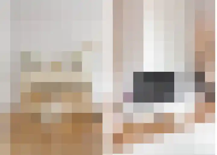 Bottelroos 4 Leiden thumbnail 9