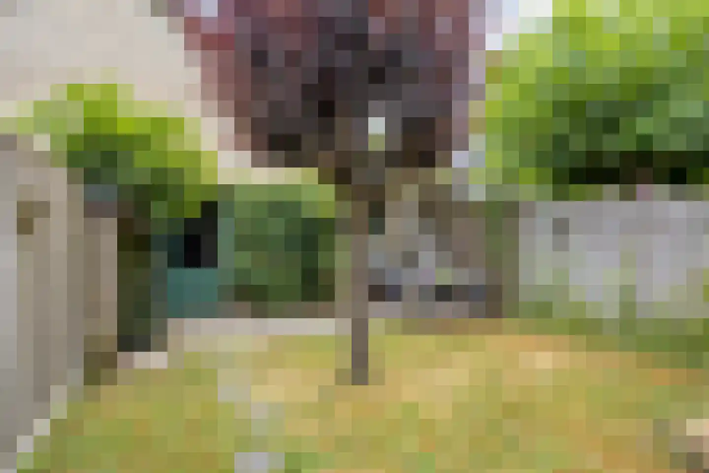 Bottelrooslaan 5 Valkenswaard thumbnail 32