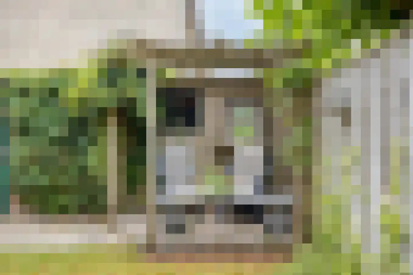Bottelrooslaan 5 Valkenswaard thumbnail 35
