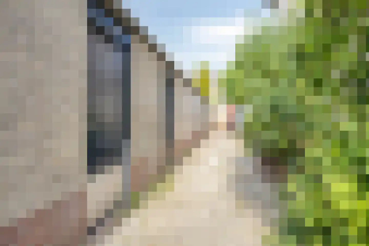 Bottelrooslaan 5 Valkenswaard thumbnail 36