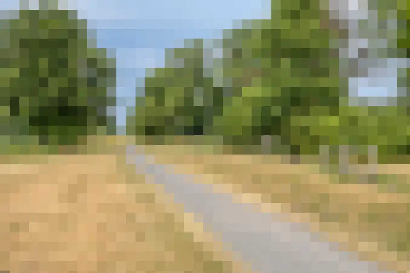 Bottelrooslaan 5 Valkenswaard thumbnail 38