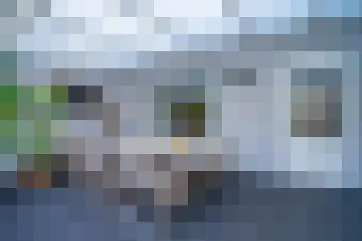 Bottelroosstraat 6 Bakel thumbnail 38
