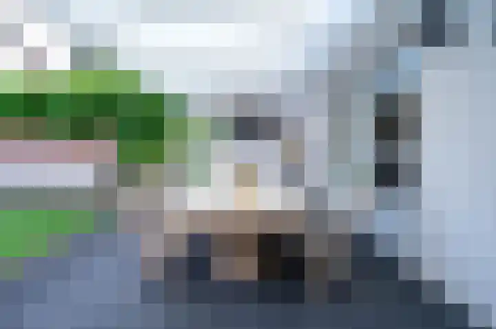 Bottelroosstraat 6 Bakel thumbnail 39