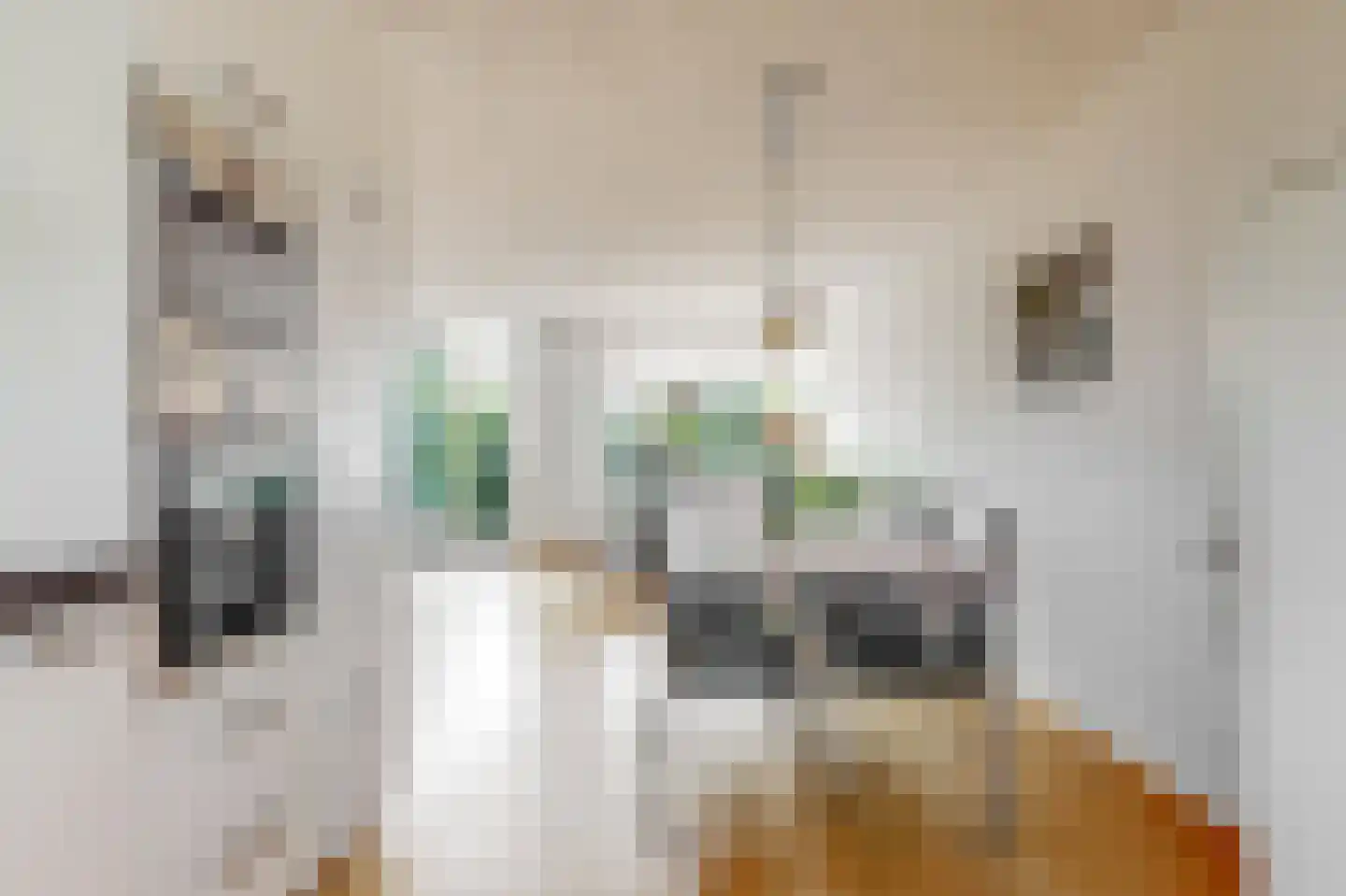 Bottelroosweide 7 Woerden thumbnail 16