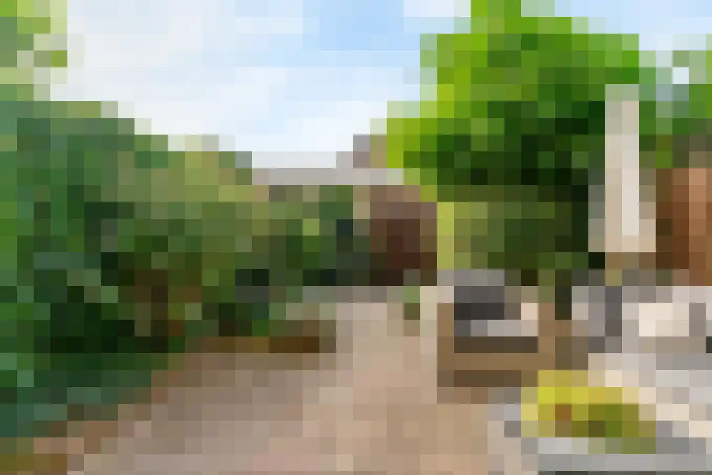 Bottelroosweide 7 Woerden foto 3