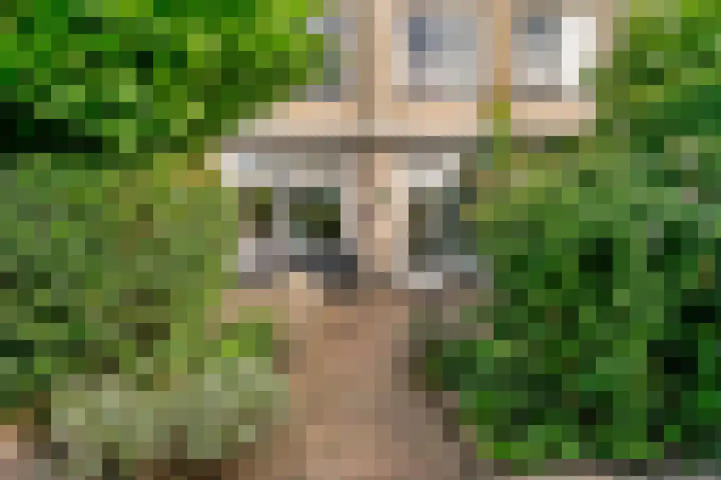 Bottelroosweide 7 Woerden thumbnail 39