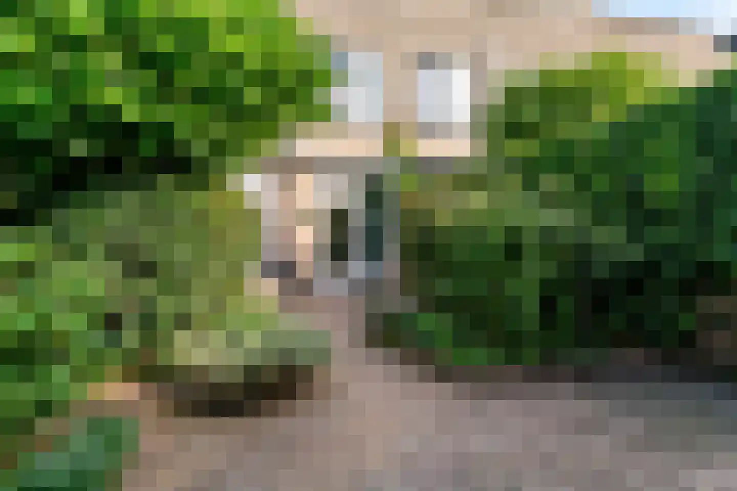 Bottelroosweide 7 Woerden thumbnail 43