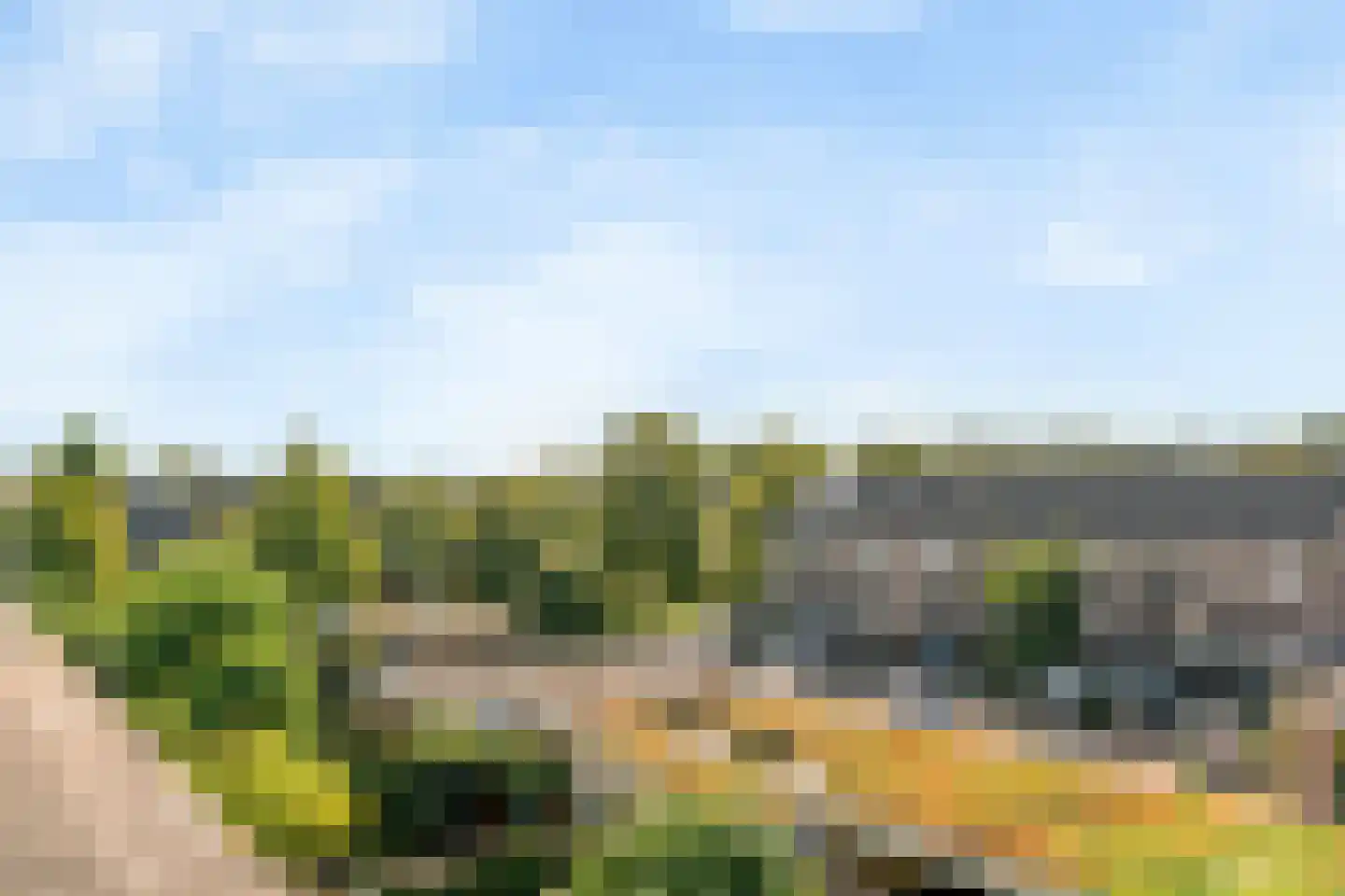 Bottelroosweide 7 Woerden thumbnail 47
