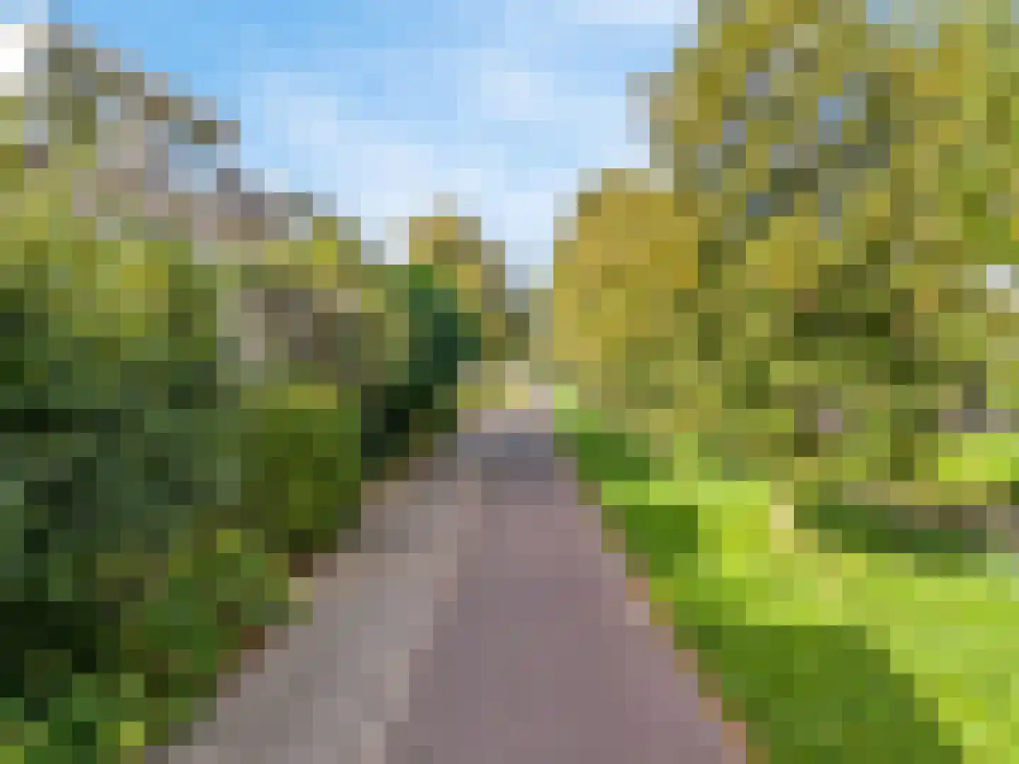 Bottelroosweide 7 Woerden thumbnail 5