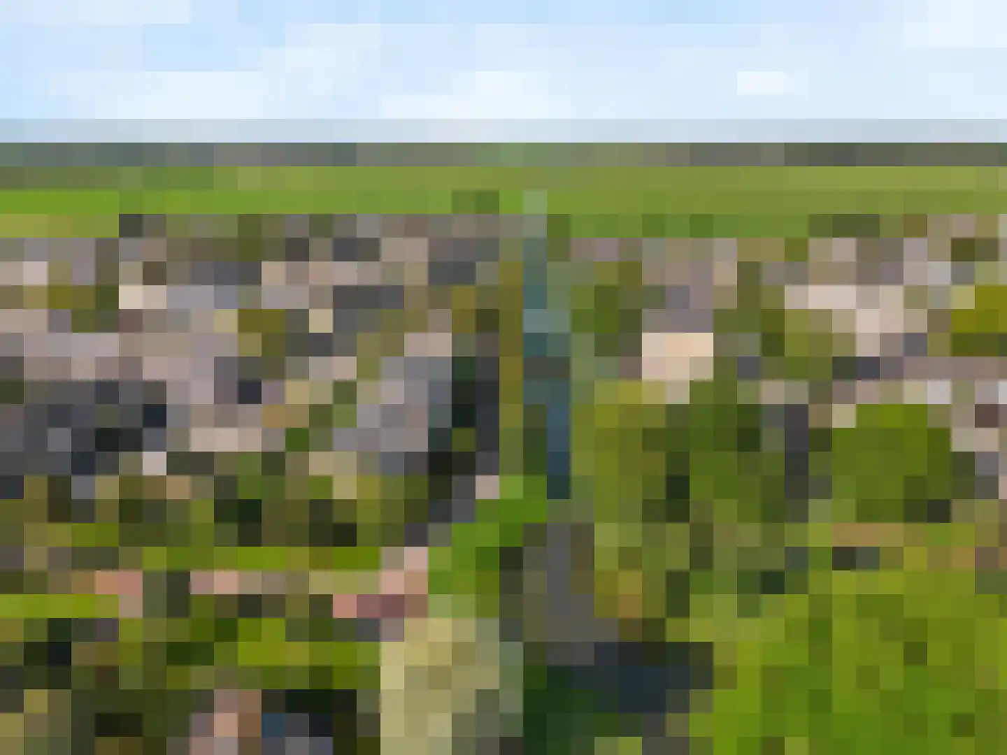 Bottelroosweide 7 Woerden thumbnail 6