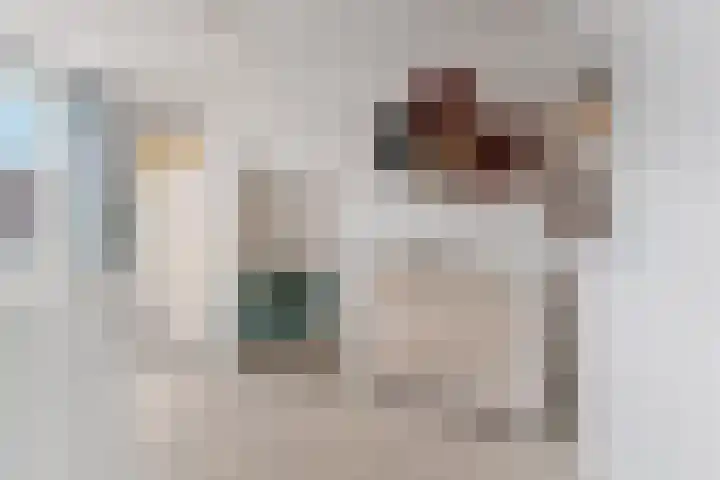 Bottelstraat 20 Nijmegen thumbnail 31