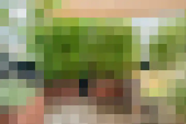 Bottelstraat 20 Nijmegen thumbnail 39