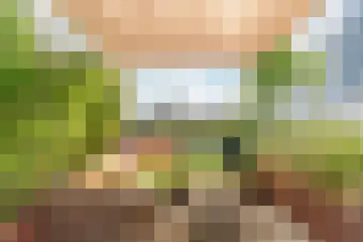 Bottelstraat 20 Nijmegen thumbnail 6