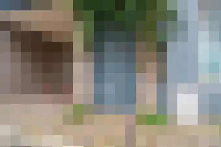 Bottelstraat 20 Nijmegen thumbnail 8