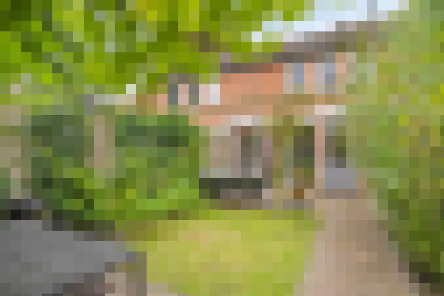 Bottemaheerd 3 Groningen thumbnail 12