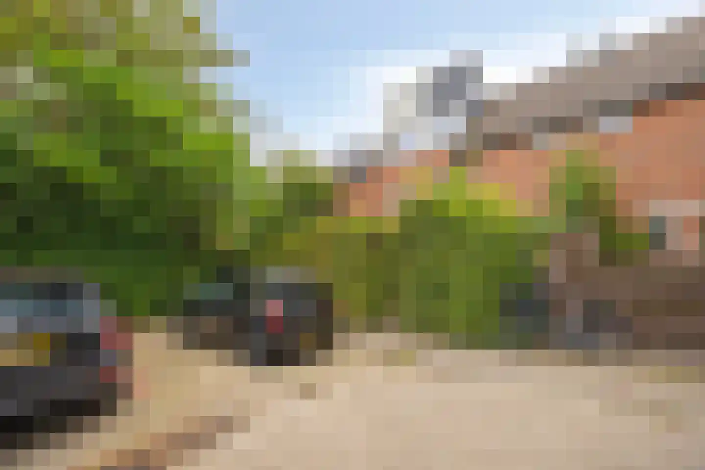 Bottemaheerd 3 Groningen thumbnail 15