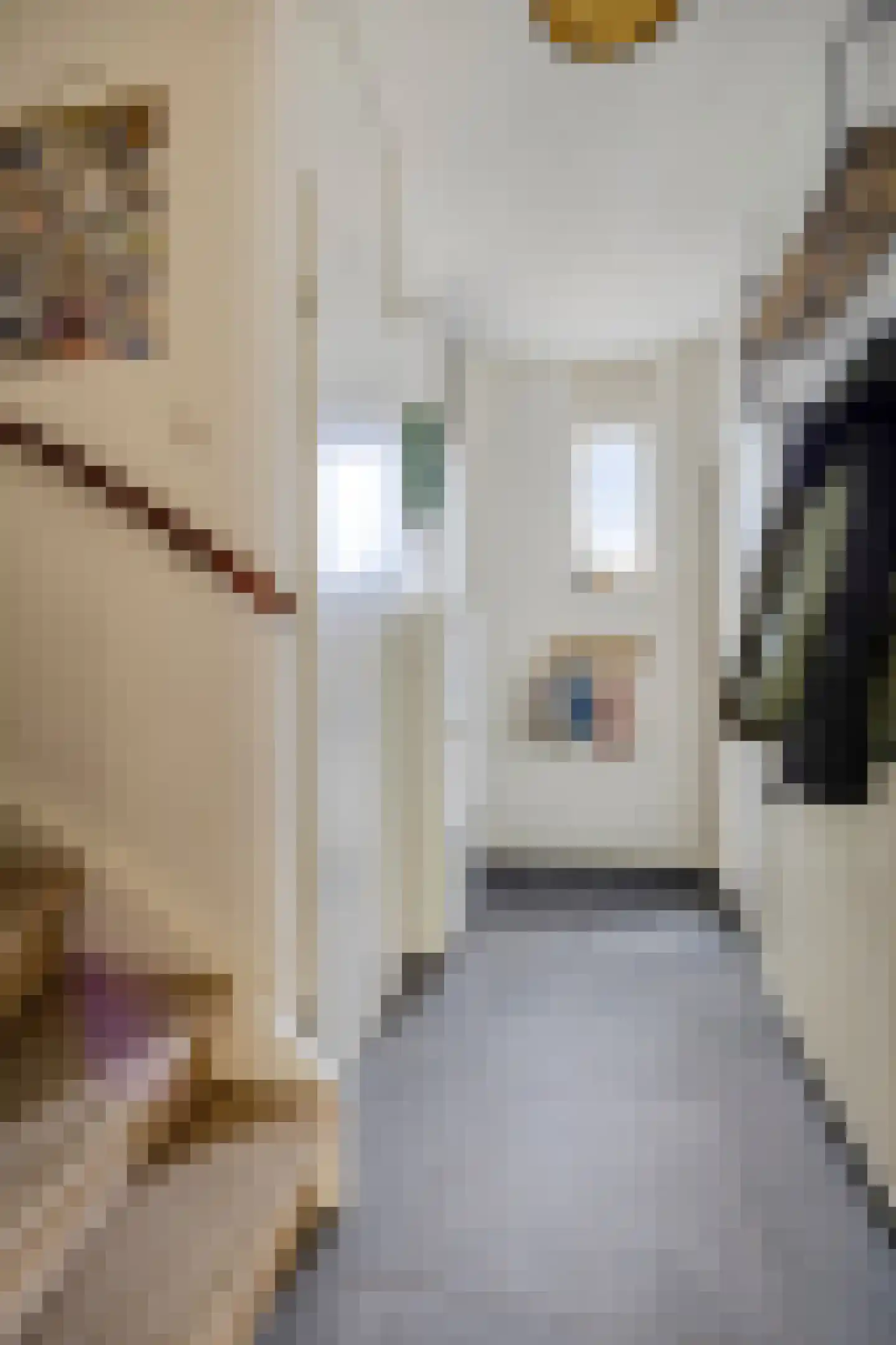 Bottemaheerd 3 Groningen thumbnail 18