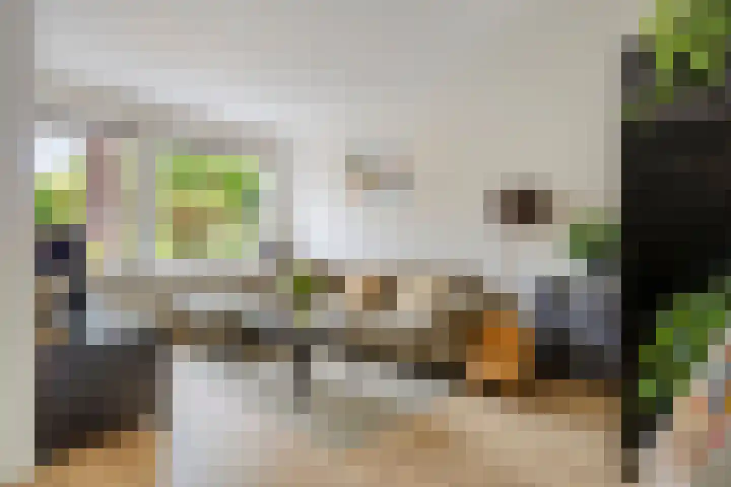 Bottemaheerd 3 Groningen thumbnail 20