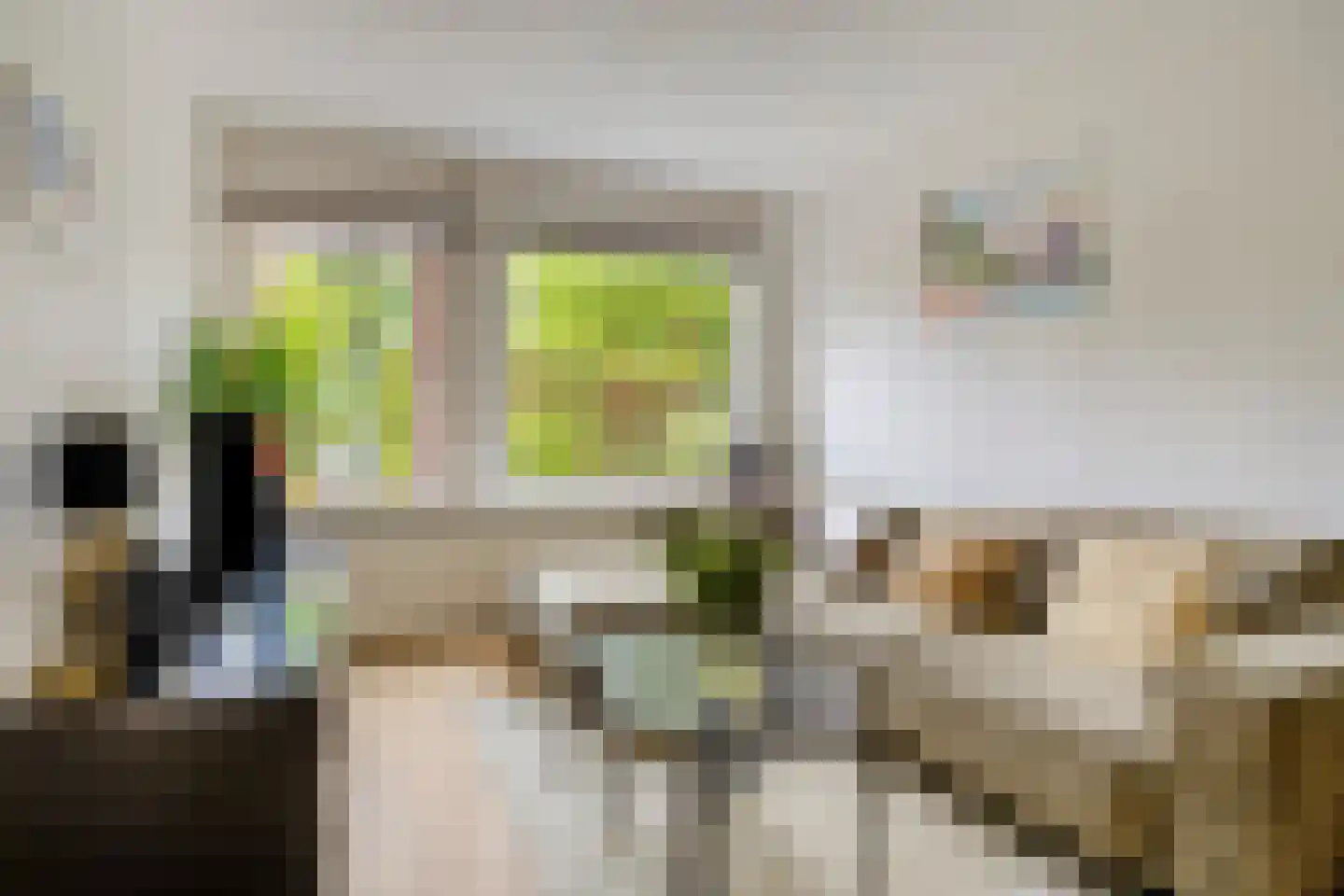 Bottemaheerd 3 Groningen thumbnail 21
