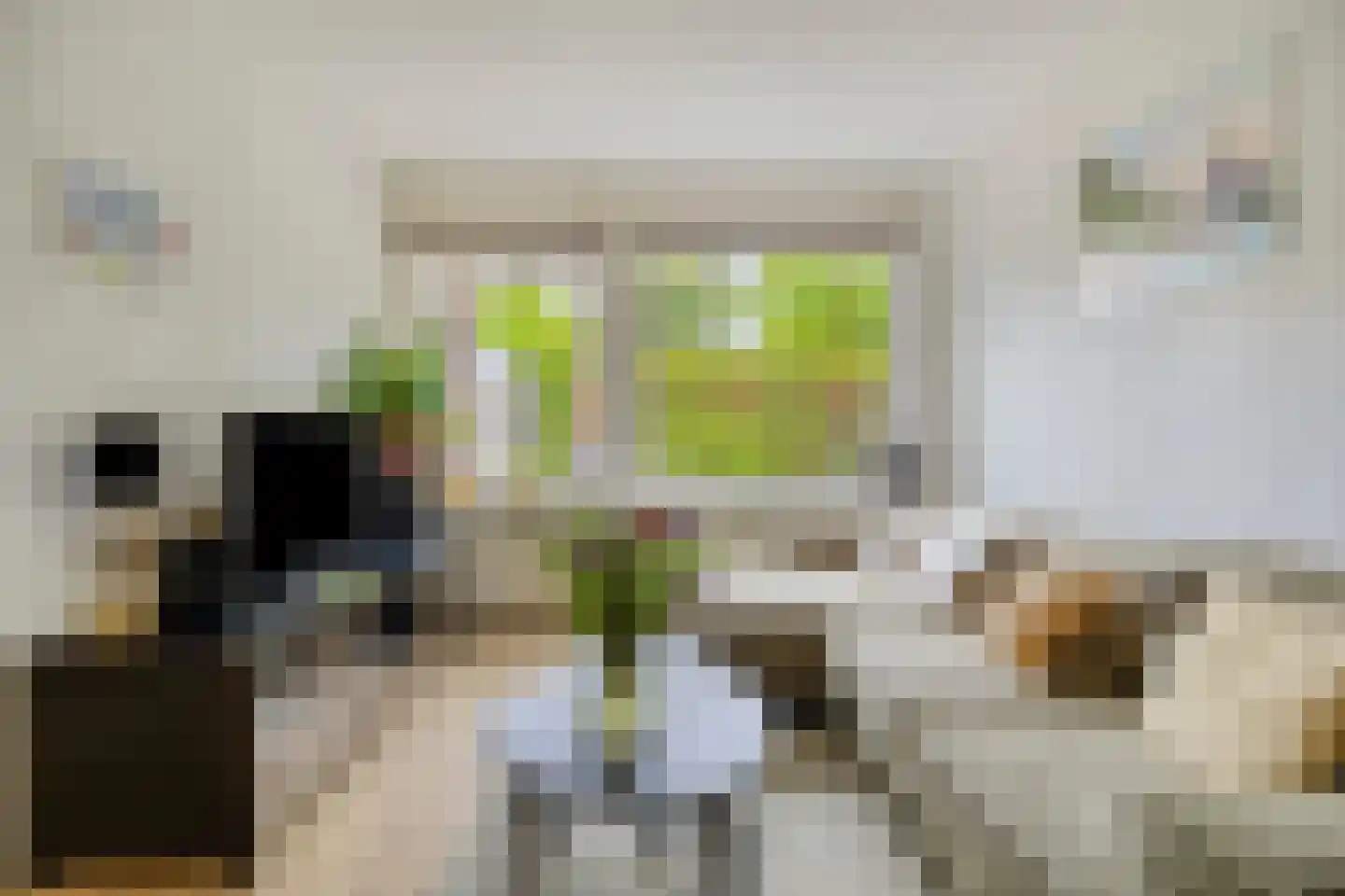 Bottemaheerd 3 Groningen thumbnail 22