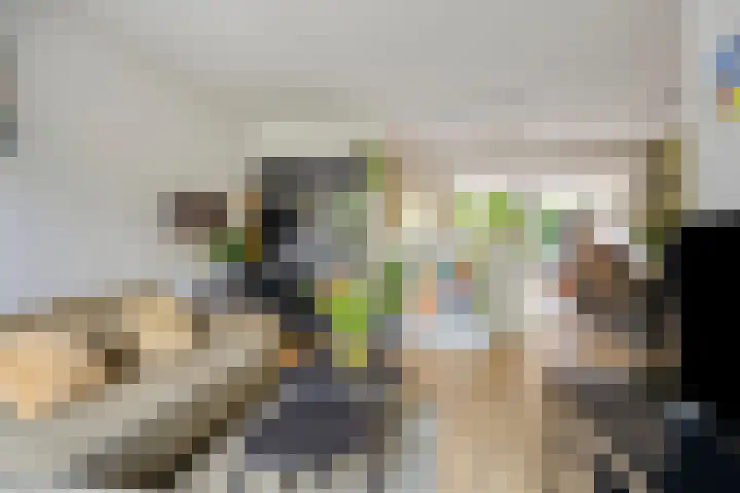 Bottemaheerd 3 Groningen thumbnail 23