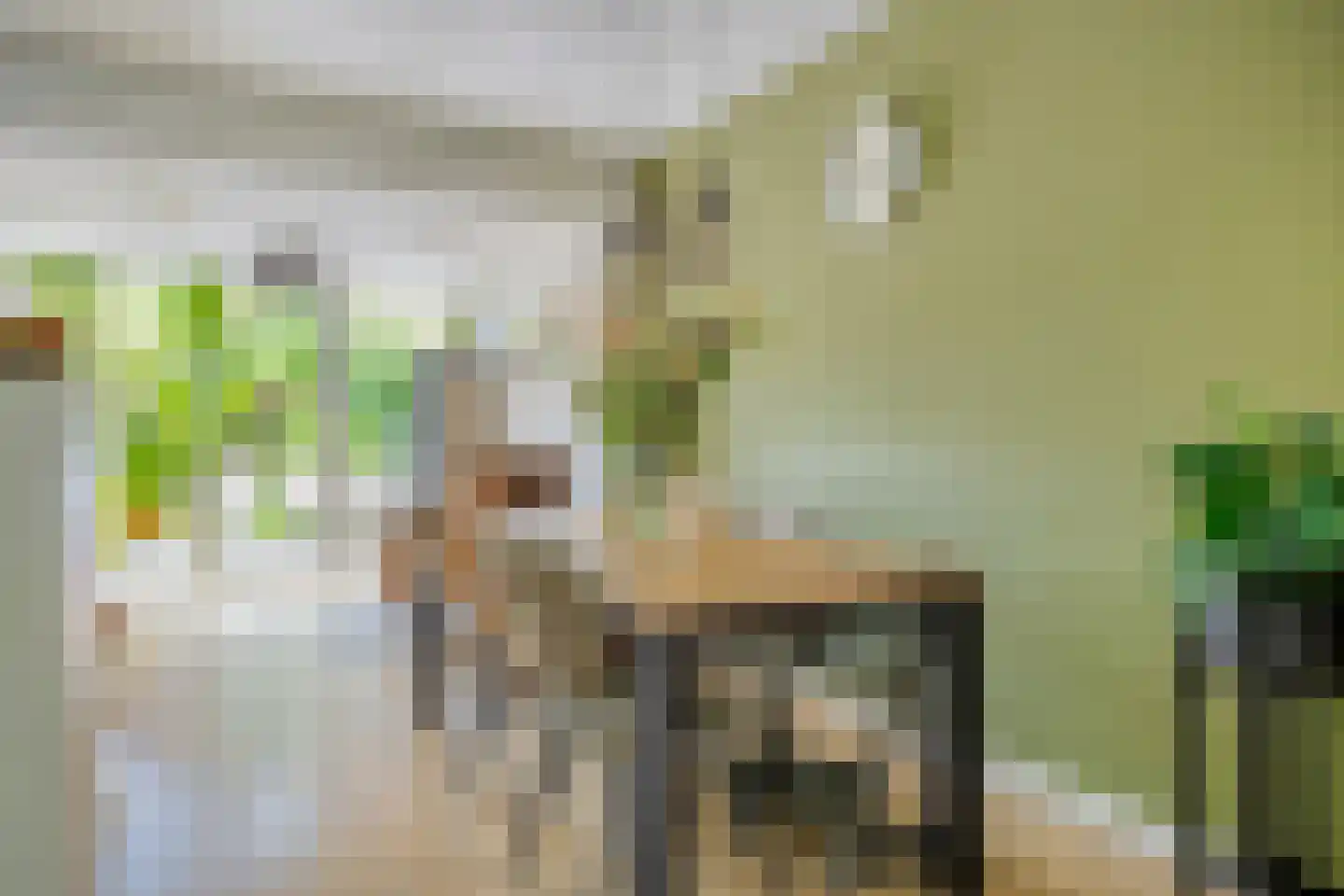 Bottemaheerd 3 Groningen thumbnail 24
