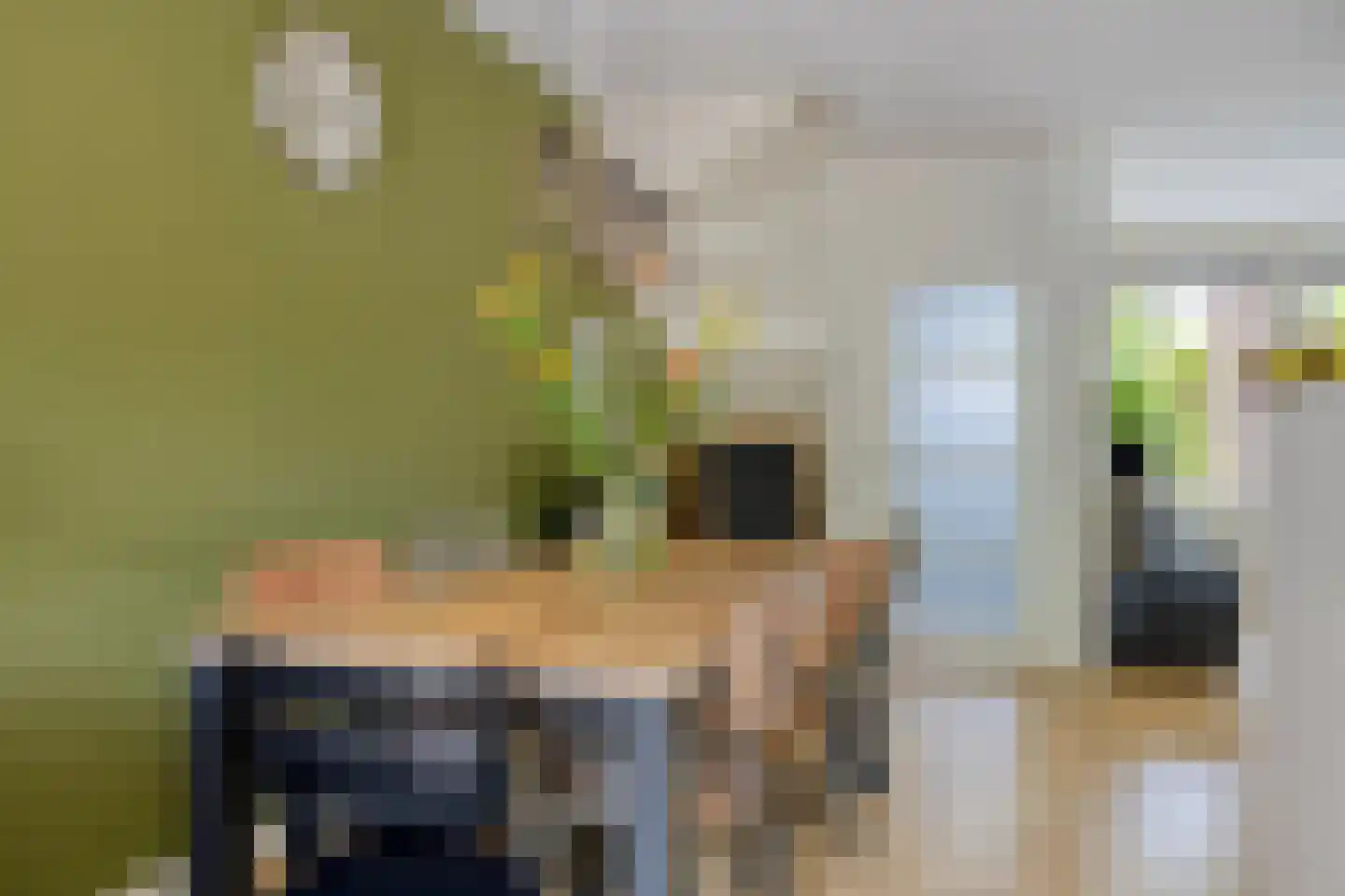 Bottemaheerd 3 Groningen thumbnail 25