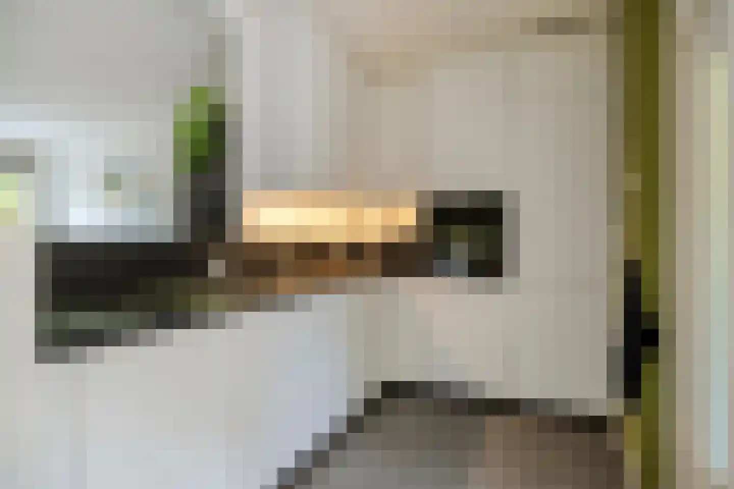 Bottemaheerd 3 Groningen thumbnail 27