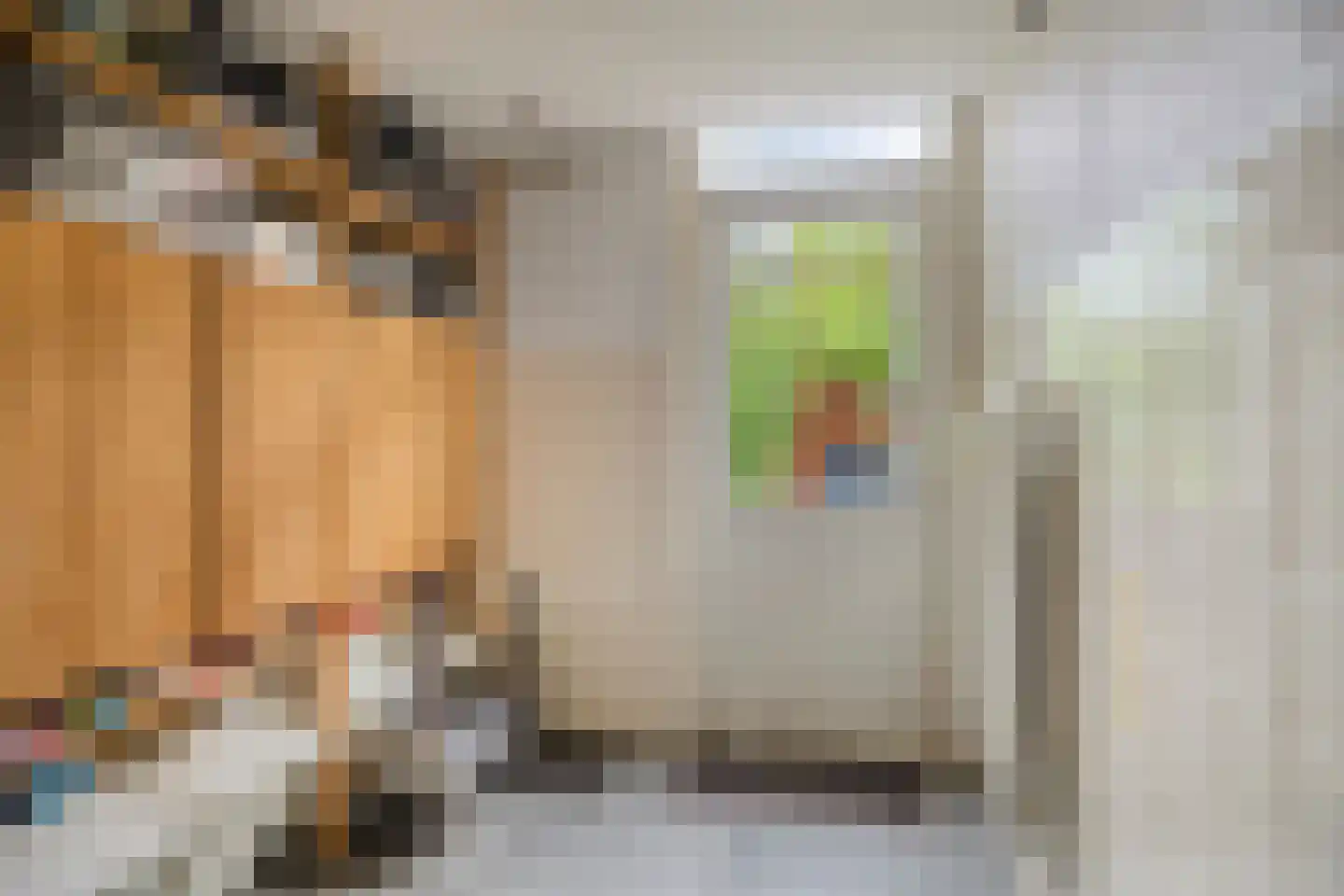 Bottemaheerd 3 Groningen thumbnail 30