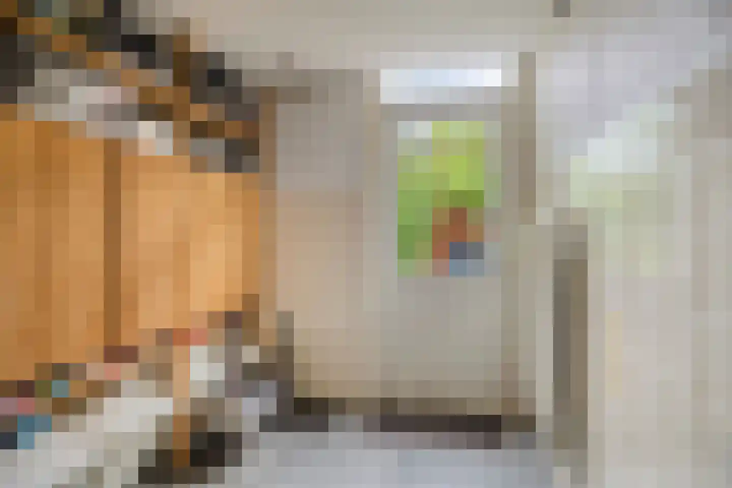 Bottemaheerd 3 Groningen thumbnail 30