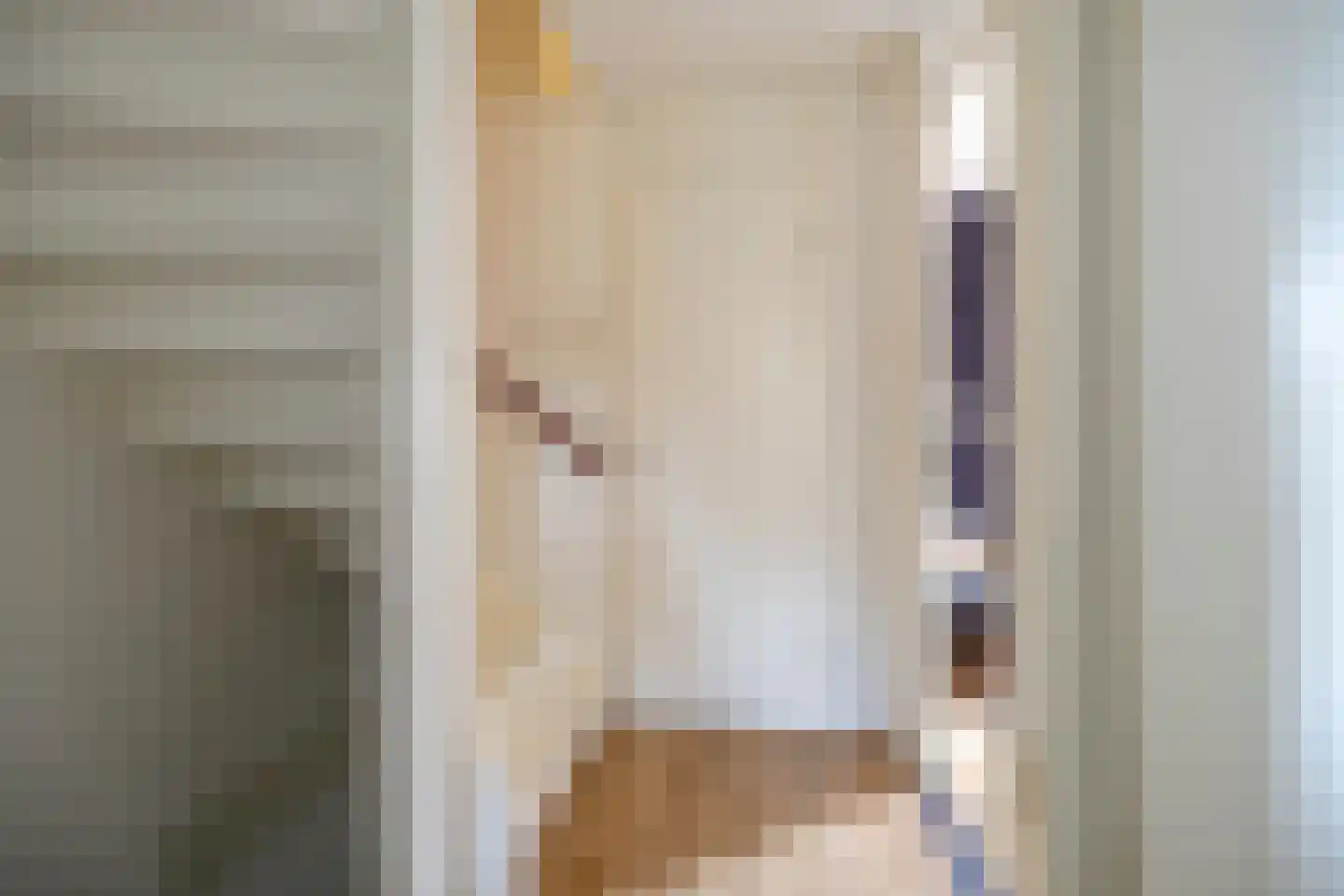 Bottemaheerd 3 Groningen thumbnail 31