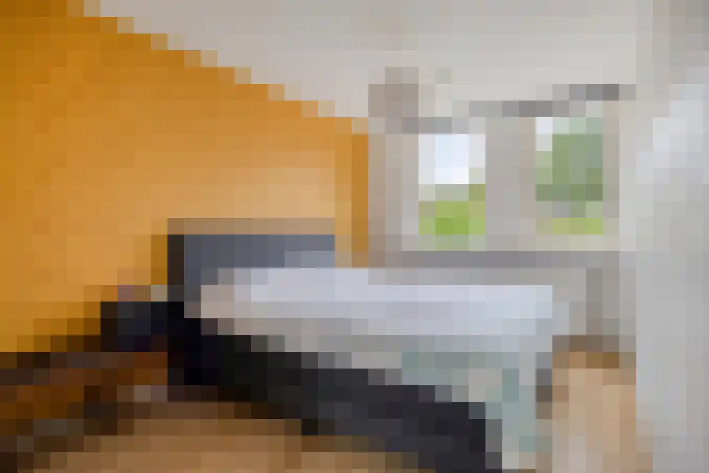 Bottemaheerd 3 Groningen thumbnail 32