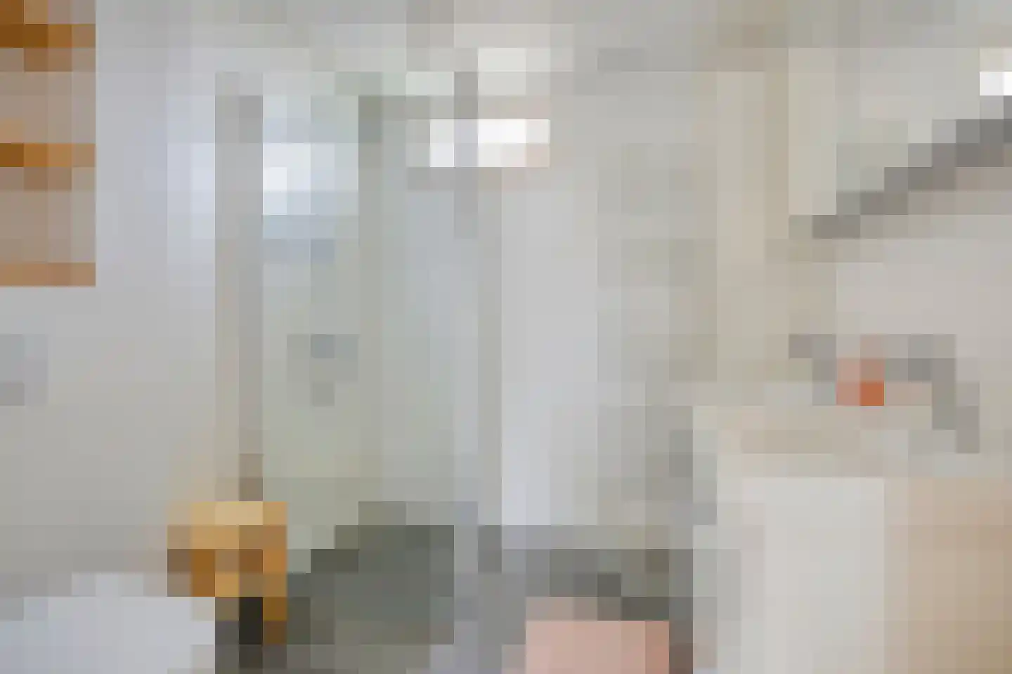 Bottemaheerd 3 Groningen thumbnail 34