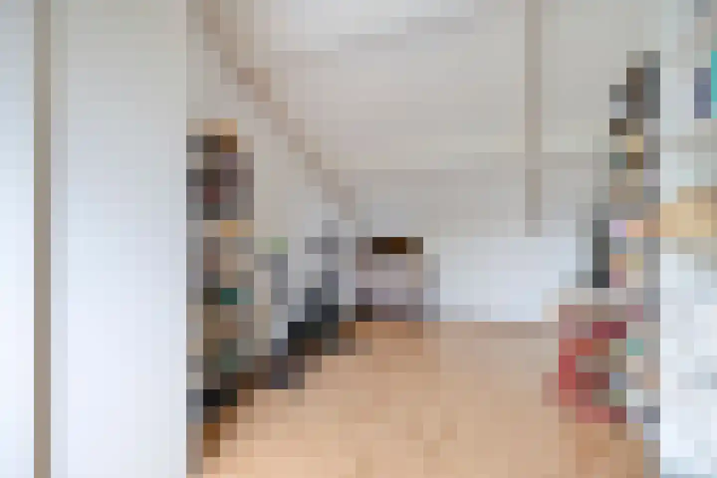 Bottemaheerd 3 Groningen thumbnail 42