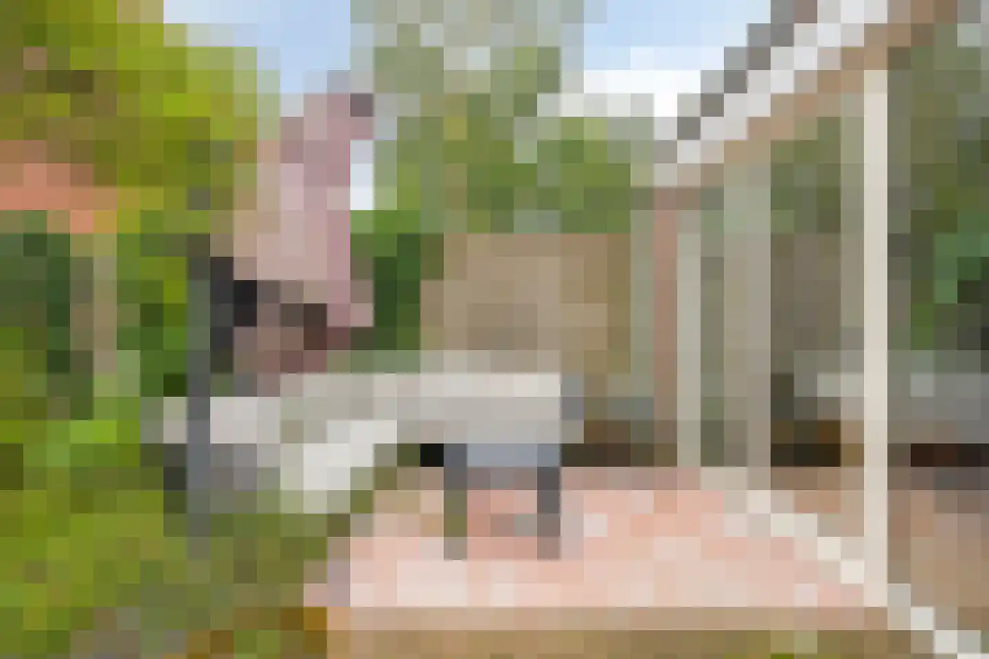 Bottemaheerd 3 Groningen thumbnail 44