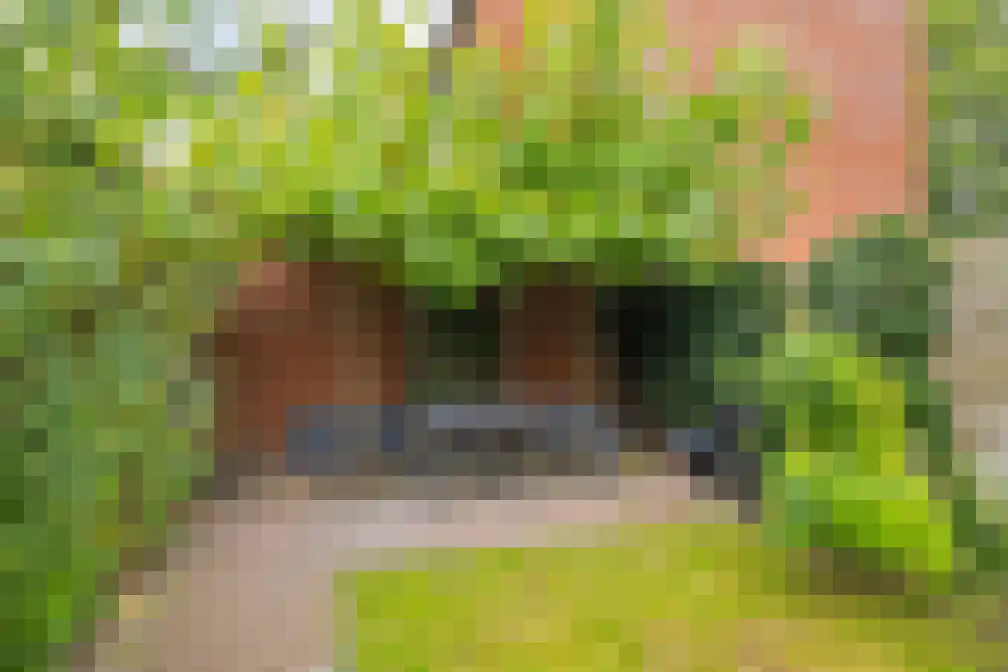 Bottemaheerd 3 Groningen thumbnail 45