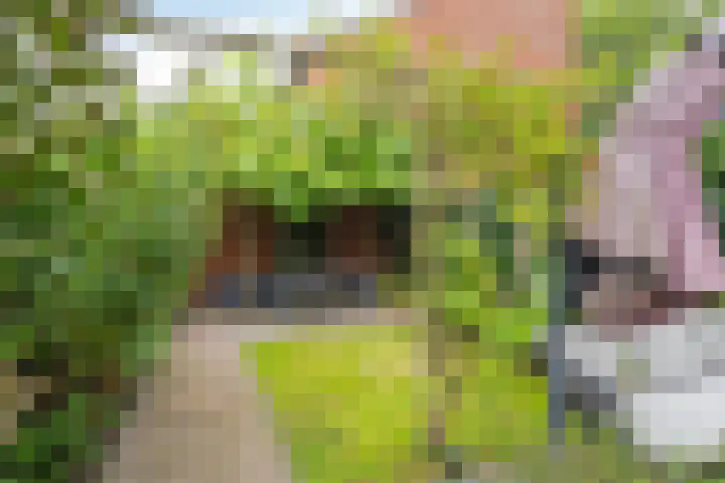 Bottemaheerd 3 Groningen thumbnail 46