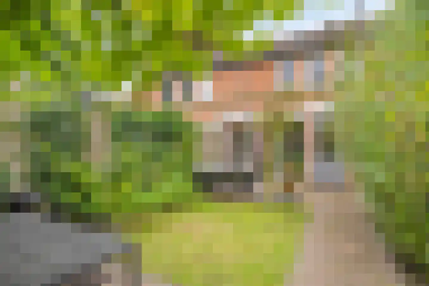 Bottemaheerd 3 Groningen thumbnail 48