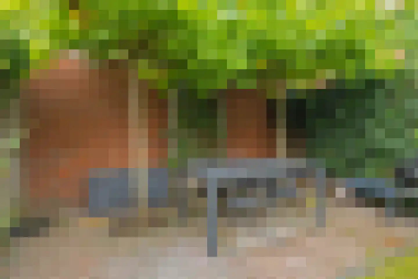Bottemaheerd 3 Groningen thumbnail 49