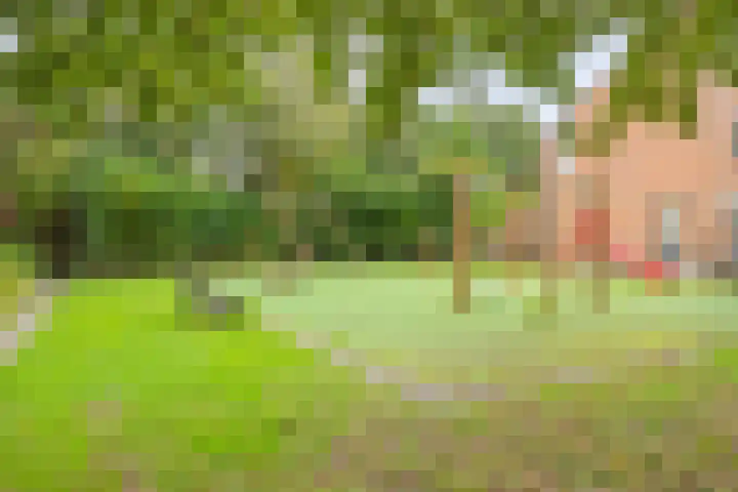 Bottemaheerd 3 Groningen thumbnail 50