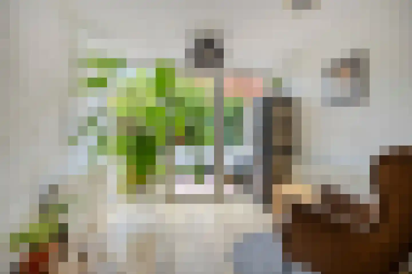 Bottemaheerd 3 Groningen thumbnail 6